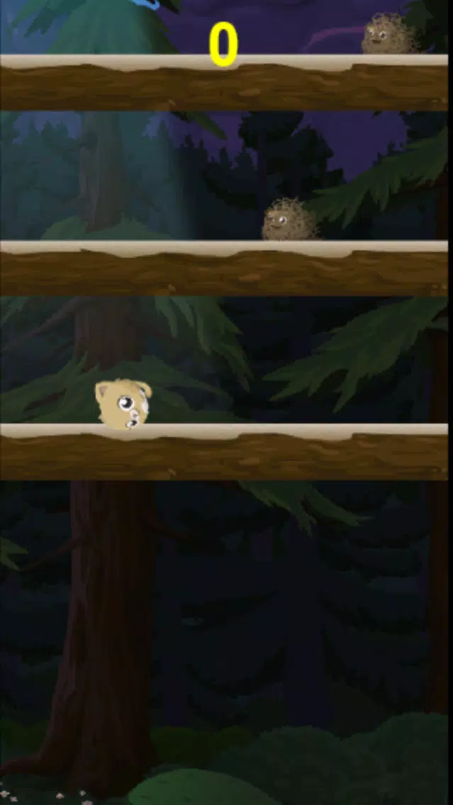 Kitty Meow Meow adorable - Cat Jump Night Screenshots