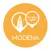 Resistenza mAPPe Modena