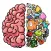 Brain Alchemy: logical riddles