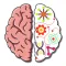 Brain Crazy
