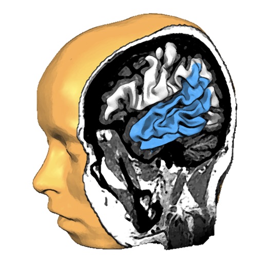 Brain Tutor 3D Brain Tutor 3D