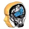 Brain Tutor HD