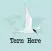 Tern Here – Social Travel Blog