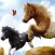 My Pony Horse Riding Adventure