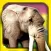 Safari Run Free - Wild Animal Jam Running Survival Games for Kids