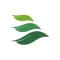 Breaking Free Companion USA