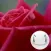Flowers (Breathing Games)