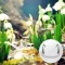 Nature 1 (Breathing Apps)