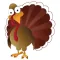Nord Family Thanksgiving