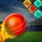 Blocky Cricket - Brick Ball