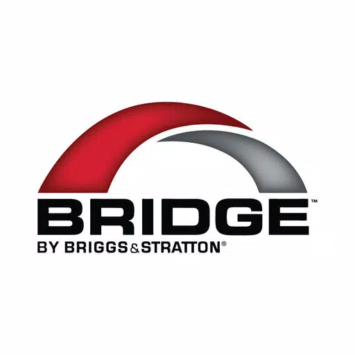 Bridge by Briggs Bridge by Briggs