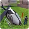 Police Plane Prison Transport - Military Aircraft