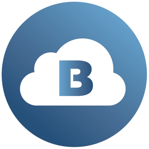 Brinks Cloud Brinks Cloud