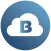 Brinks Cloud