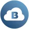 Brinks Cloud