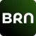 BRN: Budget & Debt Planner