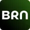 BRN: Budget & Debt Planner