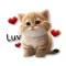 Cute Brown Cat Stickers