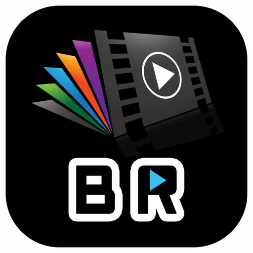 BR-VideoEditing BR-VideoEditing