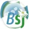 Blanchisserie BSJ