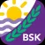 BSK Parent