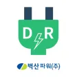 BSP DRMS