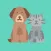 Pets Age Calculator