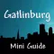 Gatlinburg Mini Guide