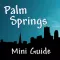 Palm Springs Mini Guide