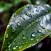Alpha Waves, Rain Sounds