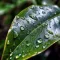 Alpha Waves, Rain Sounds