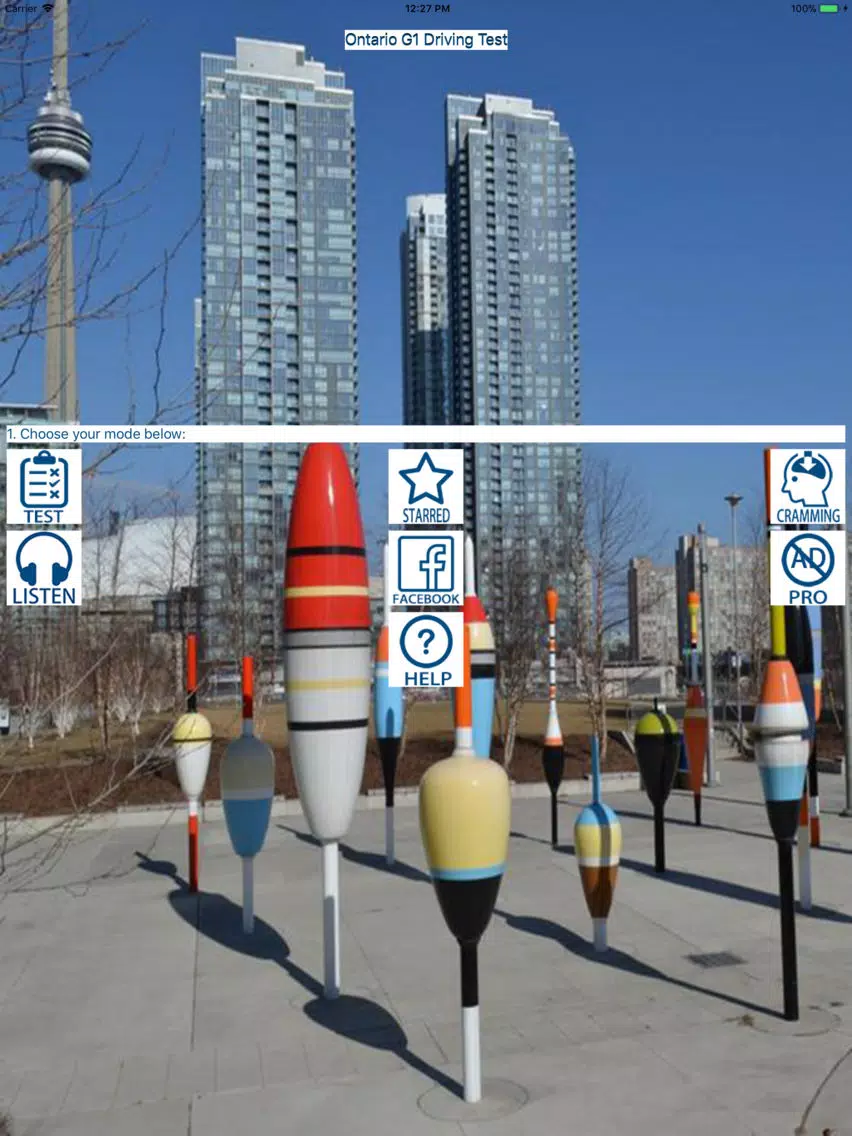 Ontario G1 Driving Test 2022 iPad Screenshots
