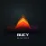 Bucy Digital