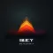 Bucy Digital
