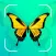 Bug Identifier Insect Id