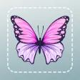 Bug Identifier Picture Insect