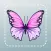 Bug Identifier Picture Insect