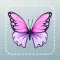 Bug Identifier Picture Insect