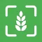 AI Gluten-Free Checker