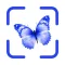 AI Bug & Insect Identifier