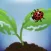 EDDMapS Biocontrol
