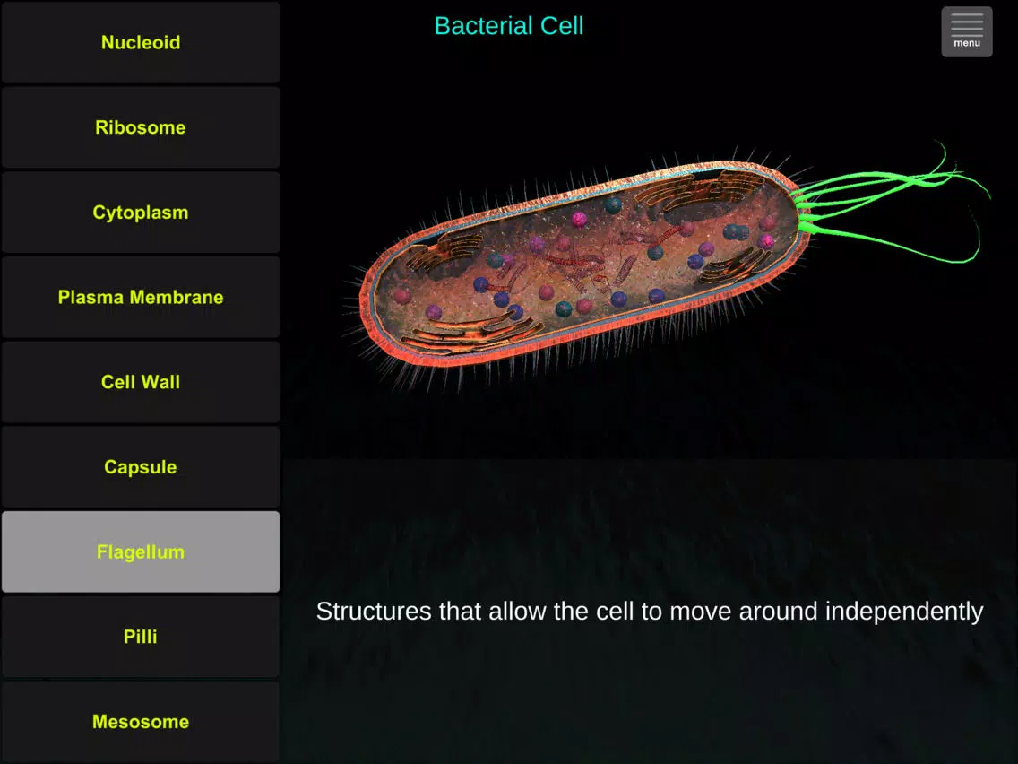 Cell Biology Tutor iPad Screenshots