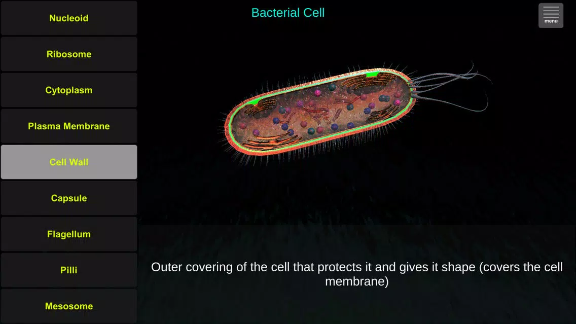 Cell Biology Tutor Screenshots