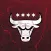Chicago Bulls