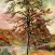 Armand Guillaumin Artworks Stickers
