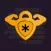 PASSAFE - Password Manager