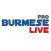 Burmese Live Pro