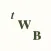 The Wharton Basin