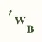 The Wharton Basin