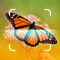 Butterfly Scanner - Butter ID